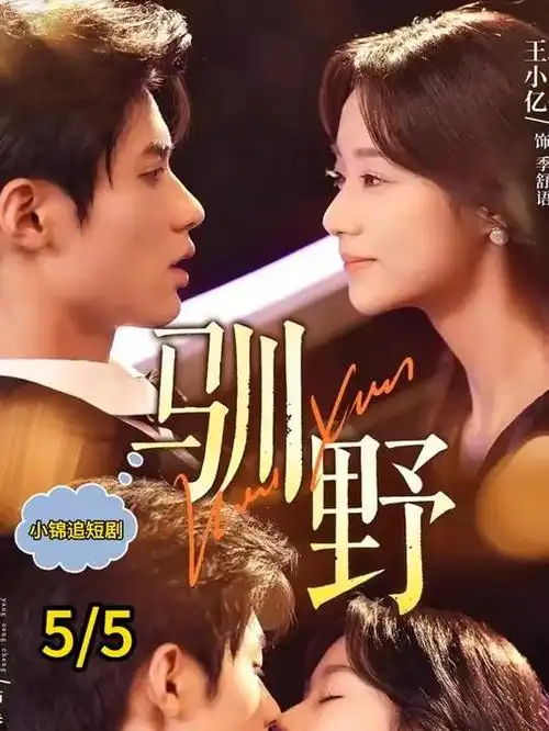 第二次落日都市情感电视剧全集